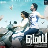 Prithvi Kumar - Maalaiye