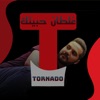 غلطان حبيتك - Single