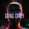 Going Crazy - Hilton Banger lyrics