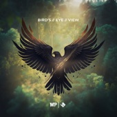 Bird's Eye View artwork