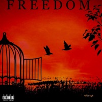 Freedom (feat. Dwyane Shmurda & Kwesi Thug) - Single - Samuel Cidy