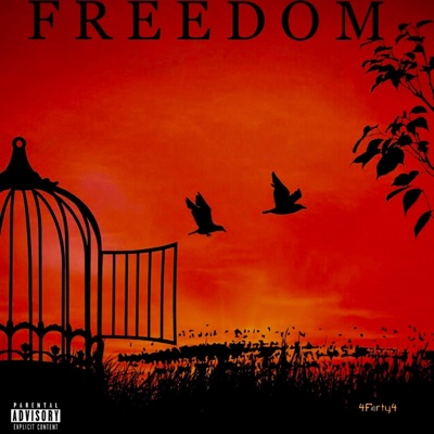 Freedom (feat. Dwyane Shmurda & Kwesi Thug) - Single