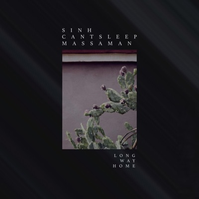 Long Way Home - Single