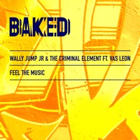 Feel the Music (feat. VAS LEON) - Single - Wally Jump Jr. & The Criminal Element