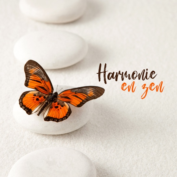 Harmonie en zen: Méditation corporelle avec pleine conscience, Calme relaxant, Fréquences de guérison, Musique orientale