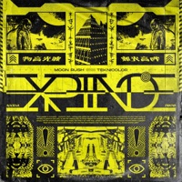 Experience - Single - Moon Rush & TEKNiCOLOR