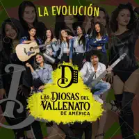 las diosas del vallenato