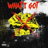 What I Got (feat. Aari Price) - Single - Money Montage