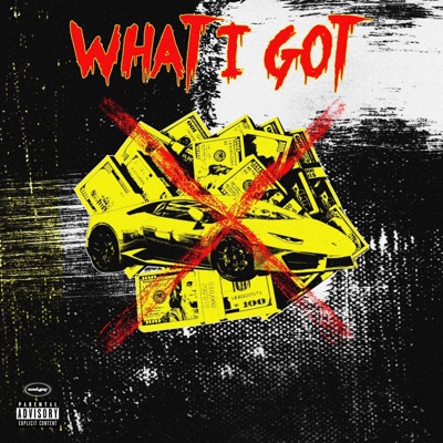 What I Got (feat. Aari Price) - Single