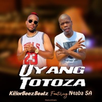 Uyang Totoza (feat. Nqaba SA) - Single - Killorbeezbeatz