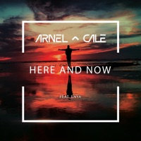 Here and Now (feat. Enÿa) - Single - Arnel & Cale