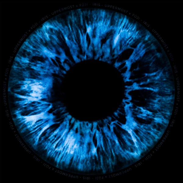 Iris - Single
