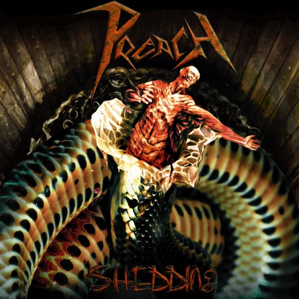 Shedding - Single