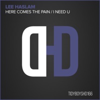 Here Comes the Pain - Single - Lee Haslam