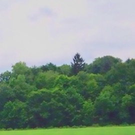 Focusing on Other Things Solace