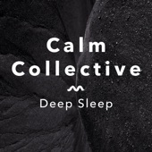 Deep Sleep artwork