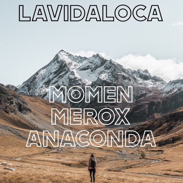 La Vida Loca
