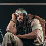 Lion D