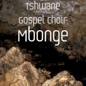 Mbonge artwork