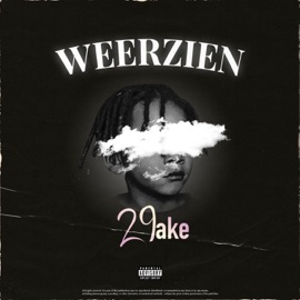 Weerzien 29ake