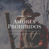 Amores Prohibidos artwork