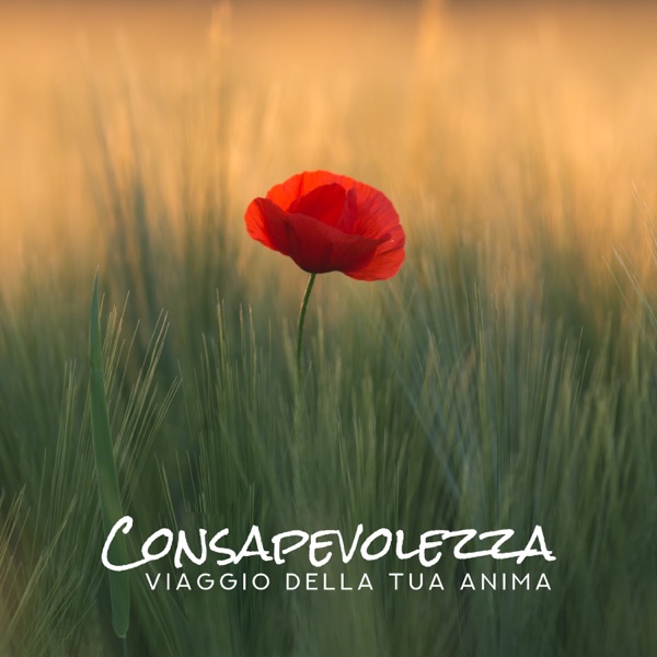 Consapevolezza: Viaggio della tua anima - Magica bella musica