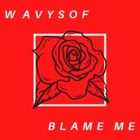 Blame Me - Single - Wavysof