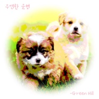너와의 우연한 운명 - 우연한 운명 - Single - Green Hill