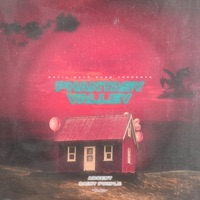 PHANTASY VALLEY - absent