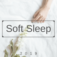 Nighty Night - Soft Sleep 2019 - Soothing Sounds of Nature to Release Stress artwork