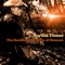 Honky Tonk Lullaby artwork