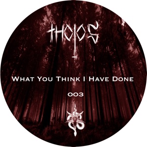 What You Think I Have Done - EP