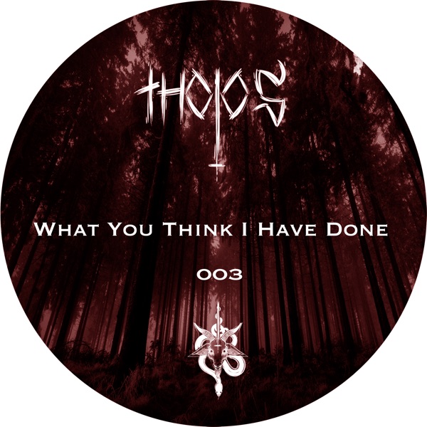 What You Think I Have Done - EP