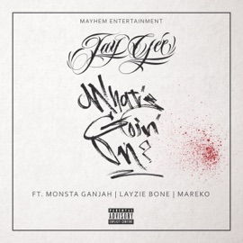 What's Goin' On? (feat. Monsta Ganjah, Layzie Bone & Mareko) Jay-Gee