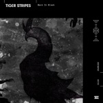 Tiger Stripes - Jack the Garage
