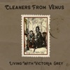 The Mercury Girl by The Cleaners from Venus