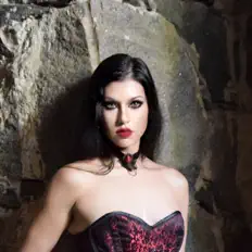 收听 Scarlet Desire、观看音乐视频、阅读小传、查看巡演日期等 ！