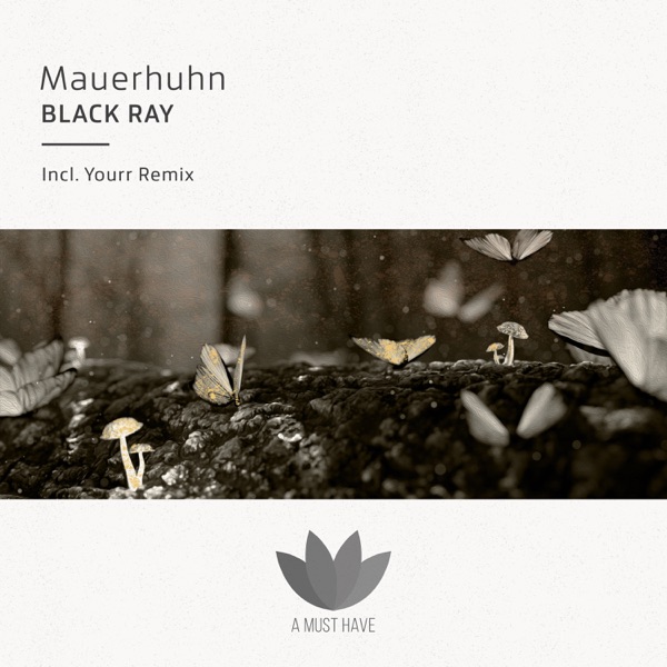 Black Ray - Single