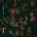 Crush (Sgt Slicks Classic Remix)