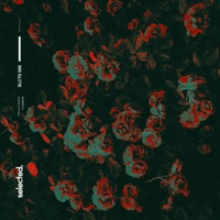 Kelvin Wood - Flowers