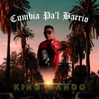 Cumbia Pa'l Barrio - King Mando