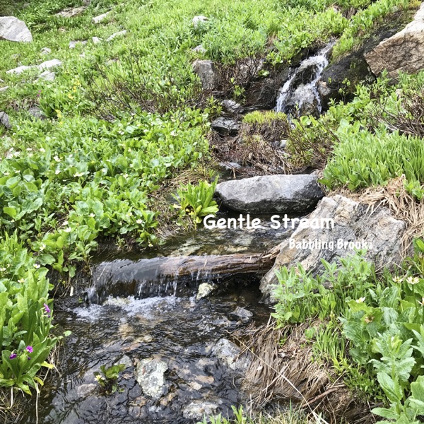 Gentle Stream