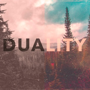 Duality