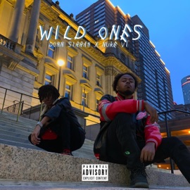 Wild Ones (feat. Nuke VI) phaüx