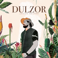 Dulzor - Single - Jaison Neutra