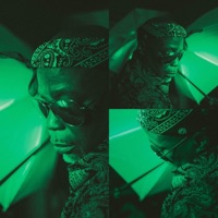 Tell Me How U Feel About Us (feat. LyRic Wilson) - Single - The Wilson Night Project