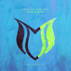 Now & Here (feat. Angel Falls) - Single