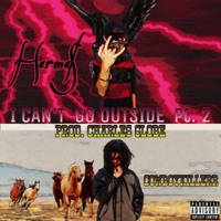I Can't Go Outside, Pt. 2 (feat. Cowboykillerr) - Single - Herme$