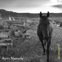 El Joven — Barrio Manouche