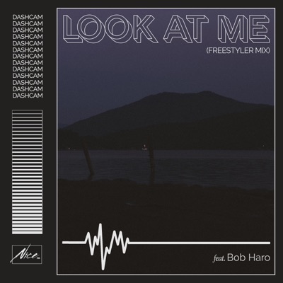 Look At Me (Freestyler) Mix - Single